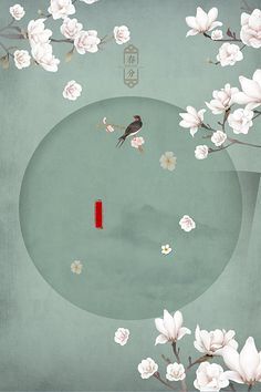 家庭摄像头直播